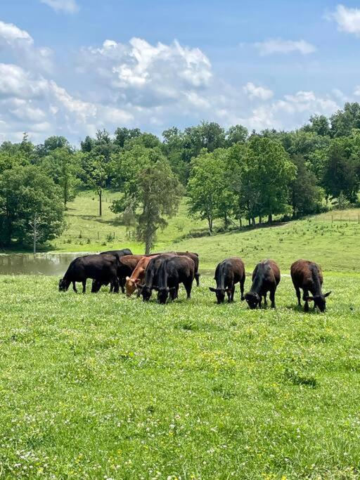 Bourbon Trail: Caboose On The Farm Villa Lawrenceburg Екстериор снимка